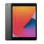 iPad (9th Gen)
